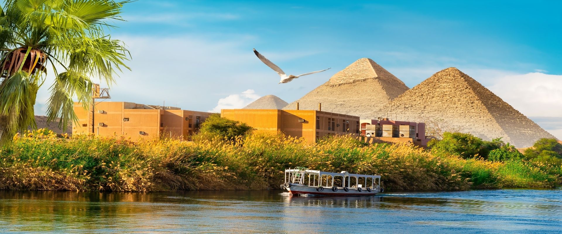 Egipto OXIN Travel
